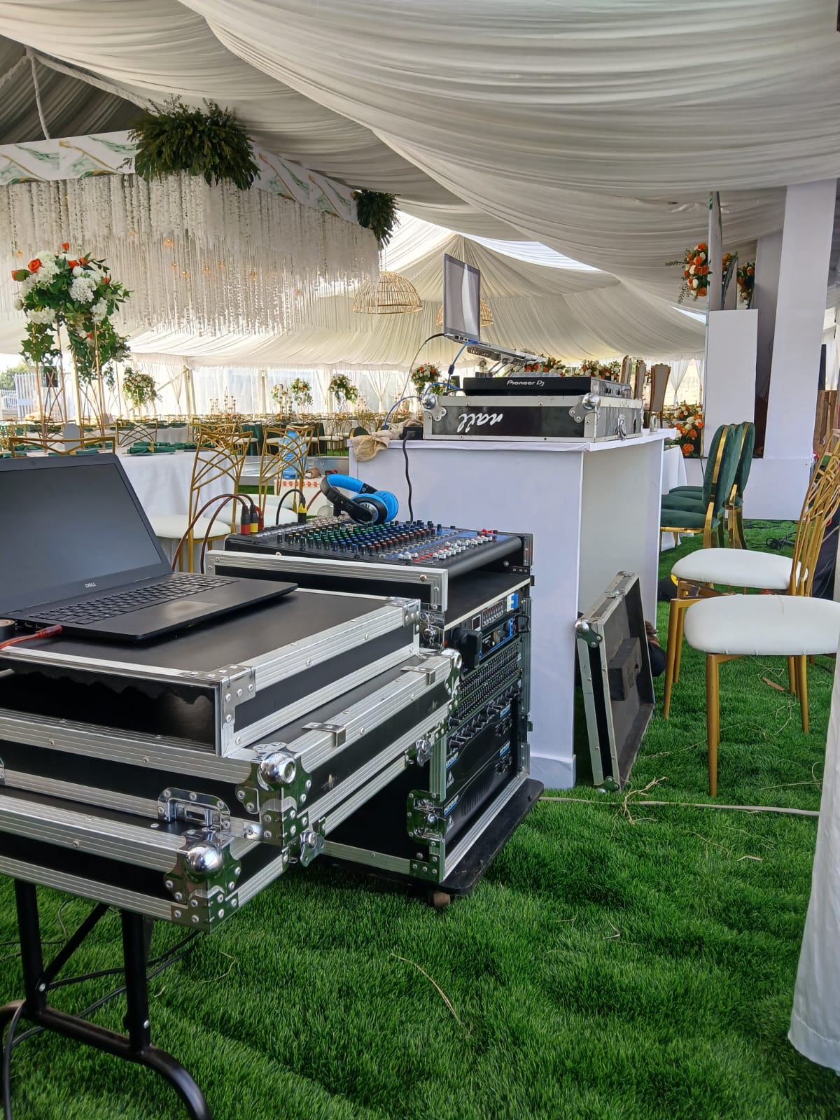 Professional Sound Systems